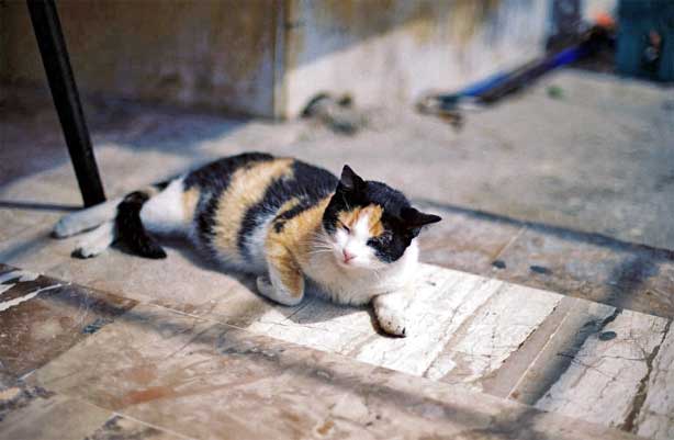 Greece 2004