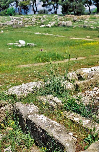Greece 2004