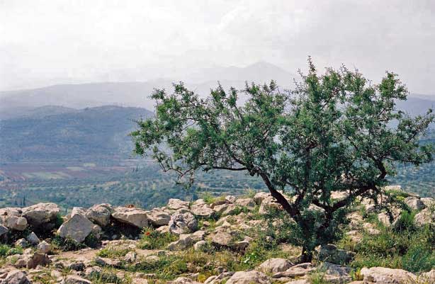 Greece 2004