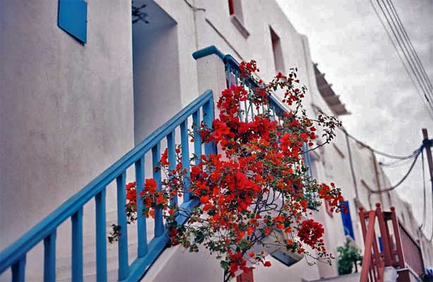 Greece 2004