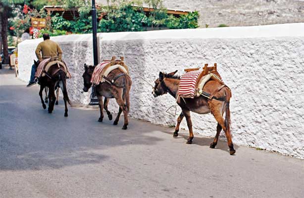 Greece 2004