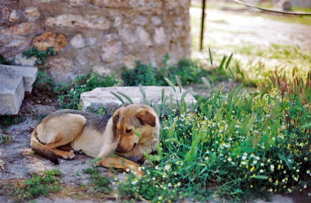 Greece 2004