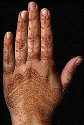 hand photo