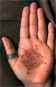 hand photo