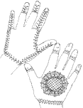 hands