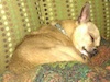 I'll nap with daddy